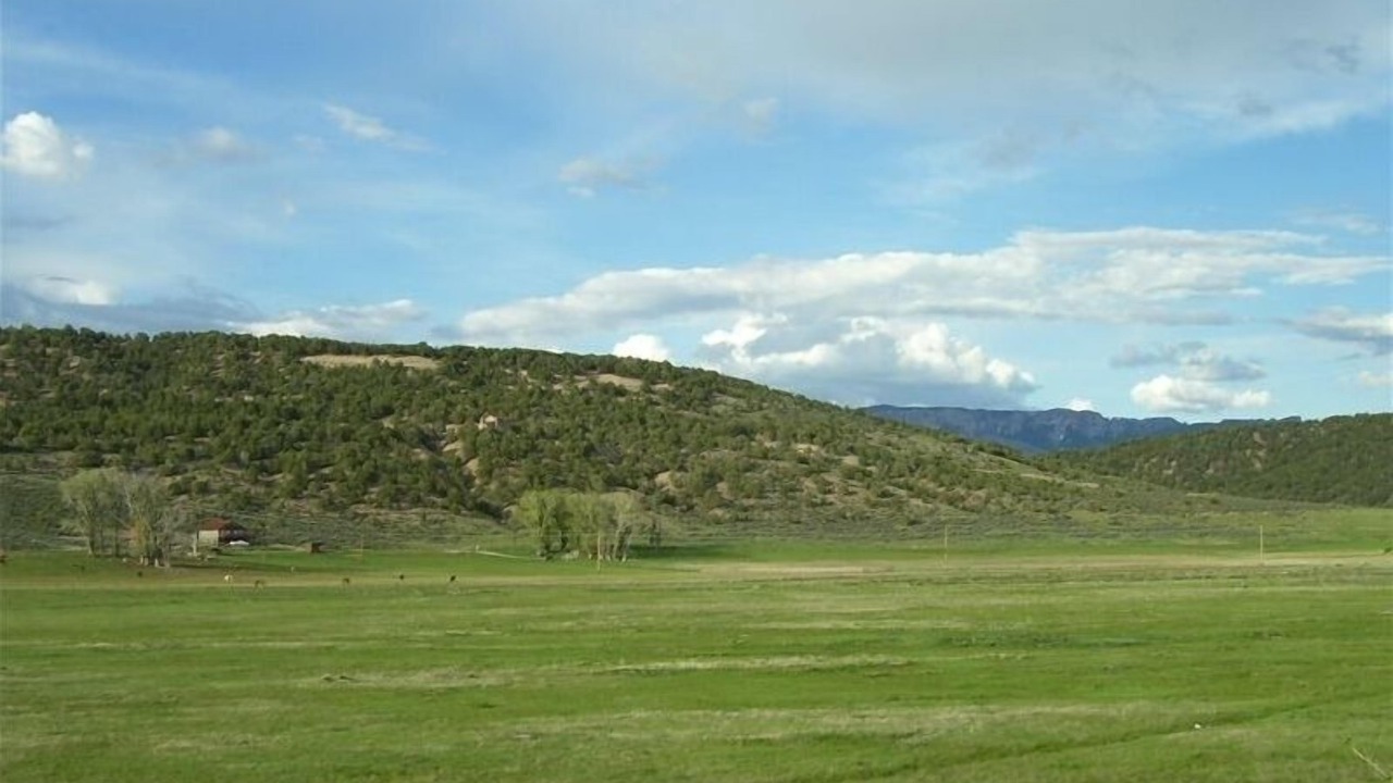 Photo of Others in Ridgway