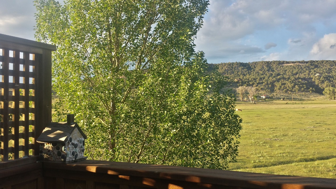 Photo of Others in Ridgway