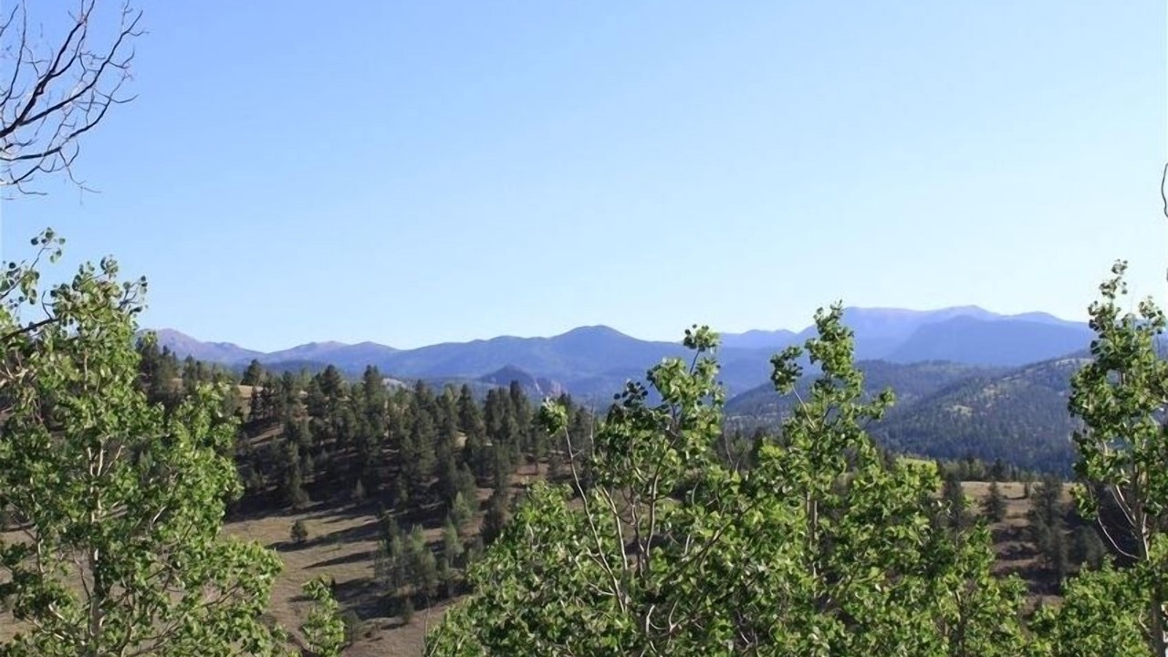 Photo of Outdoor in Victor