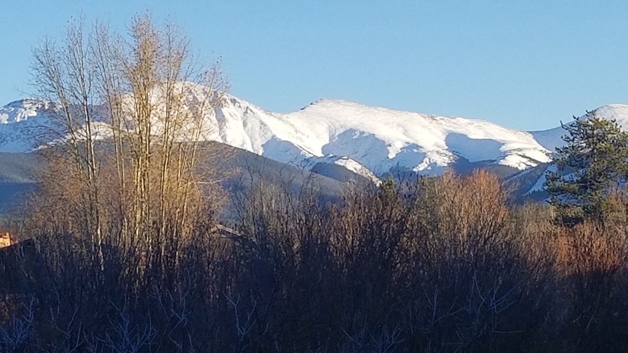 Photo of Others in Fraser