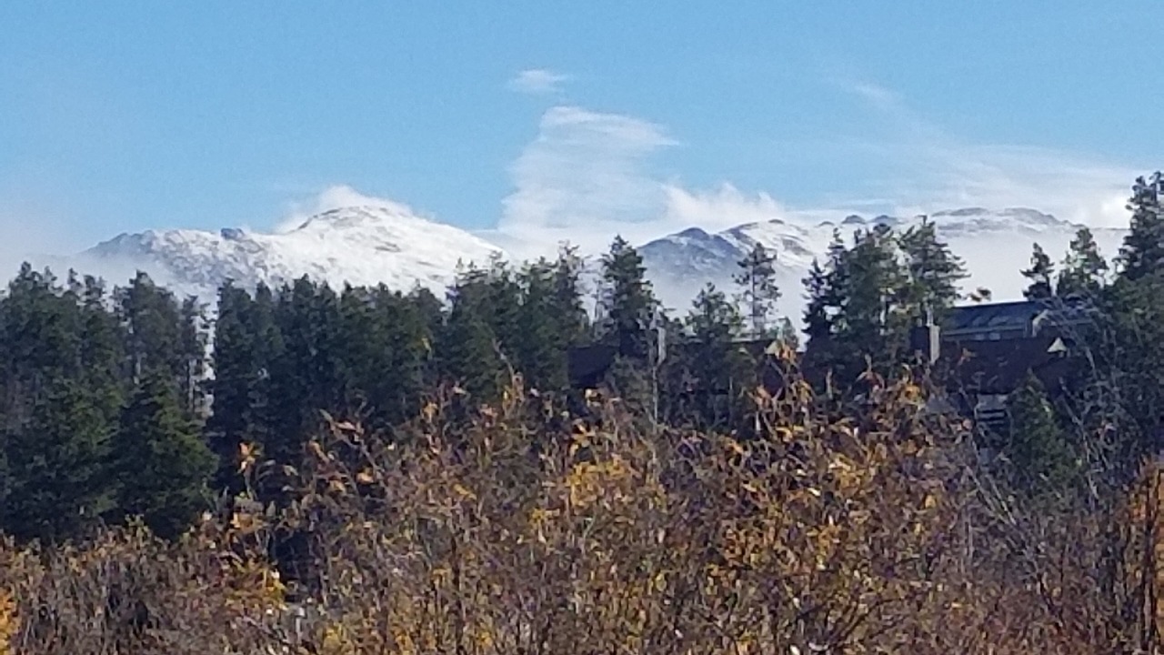 Photo of Others in Fraser
