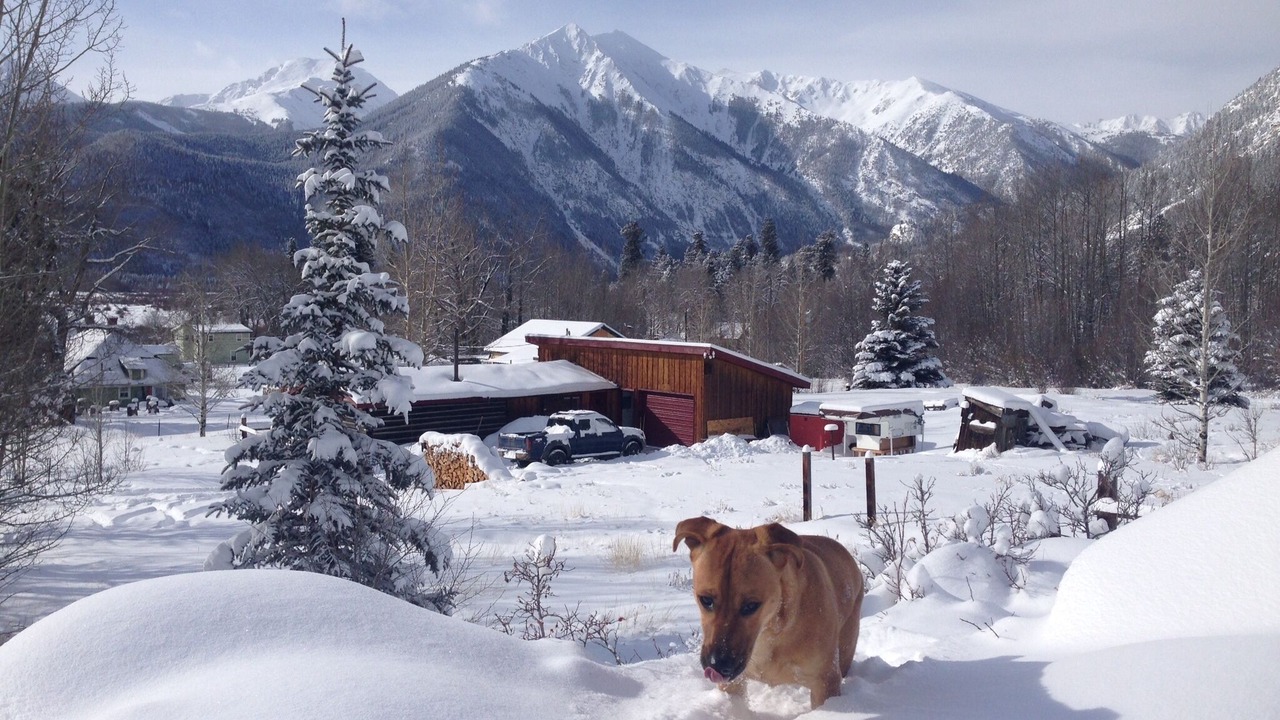 Photo of Others in Twin Lakes