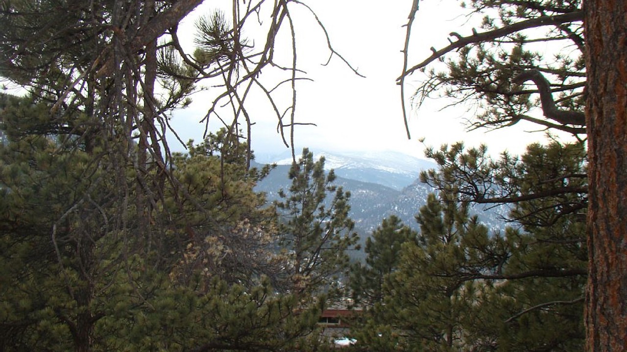 Photo of Outdoor in Stanley Hills