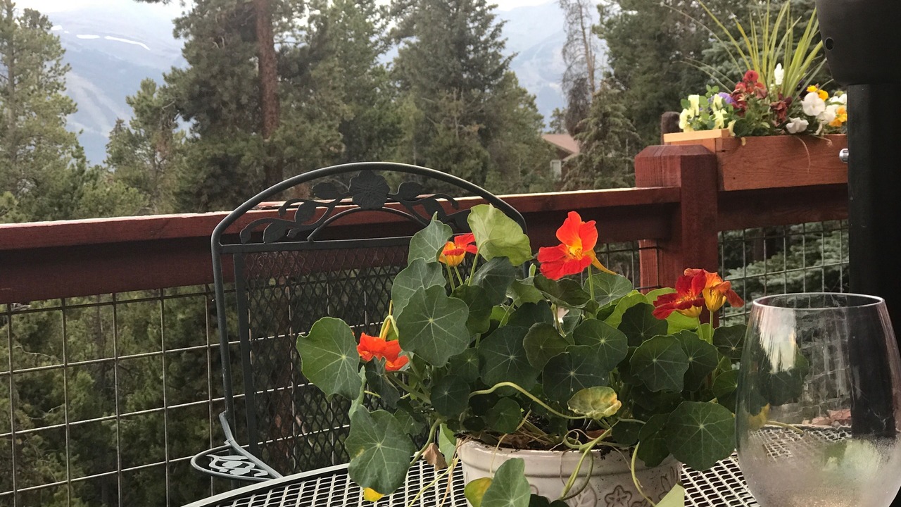 Photo of Outdoor in Baldy Mountain