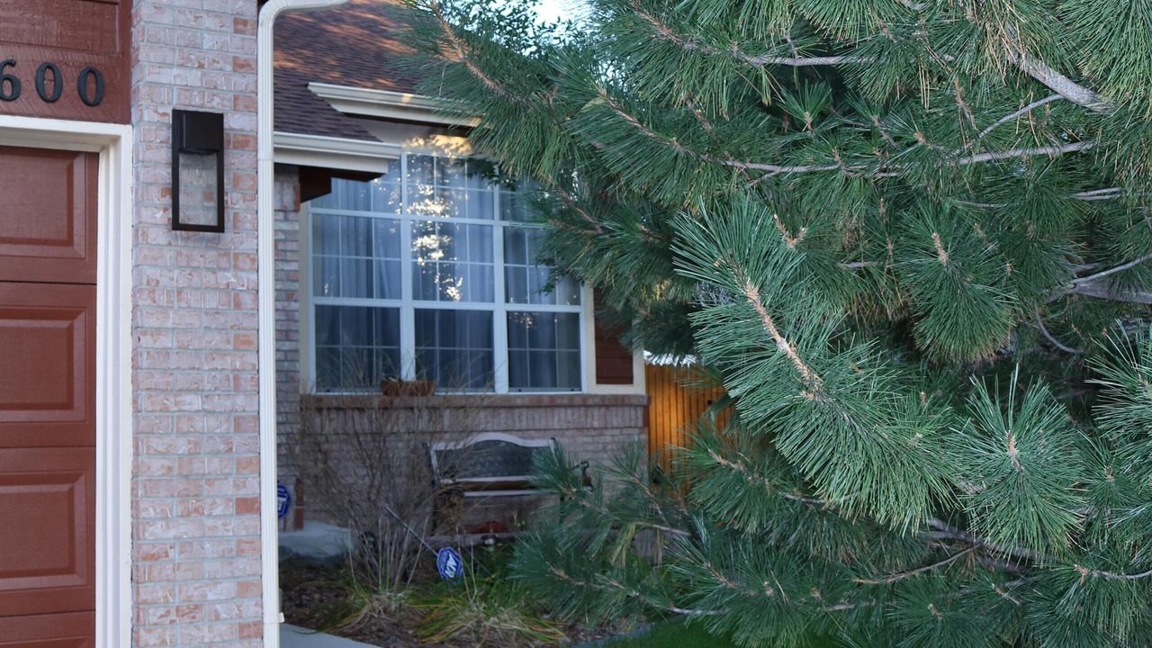 Photo of Outdoor in Aurora Highlands