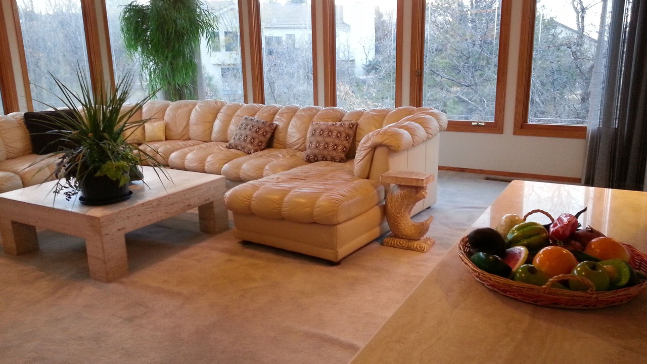Photo of Livingroom in Skyway