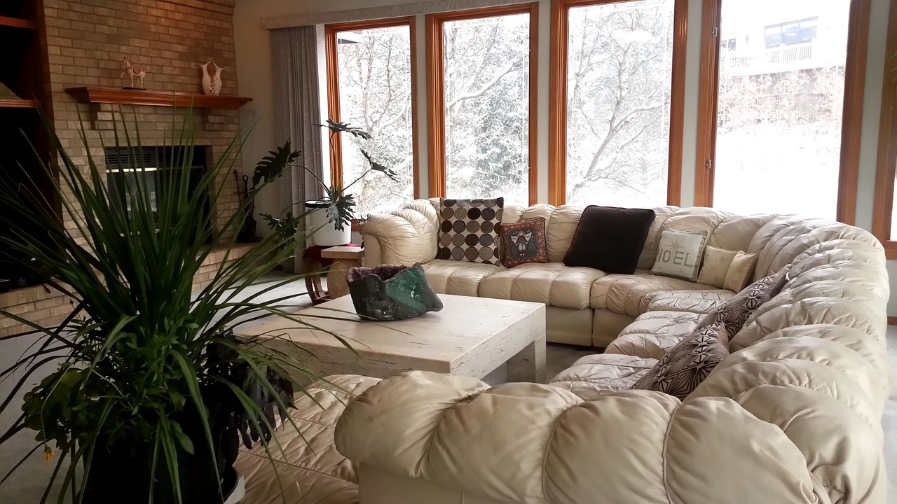 Photo of Livingroom in Skyway