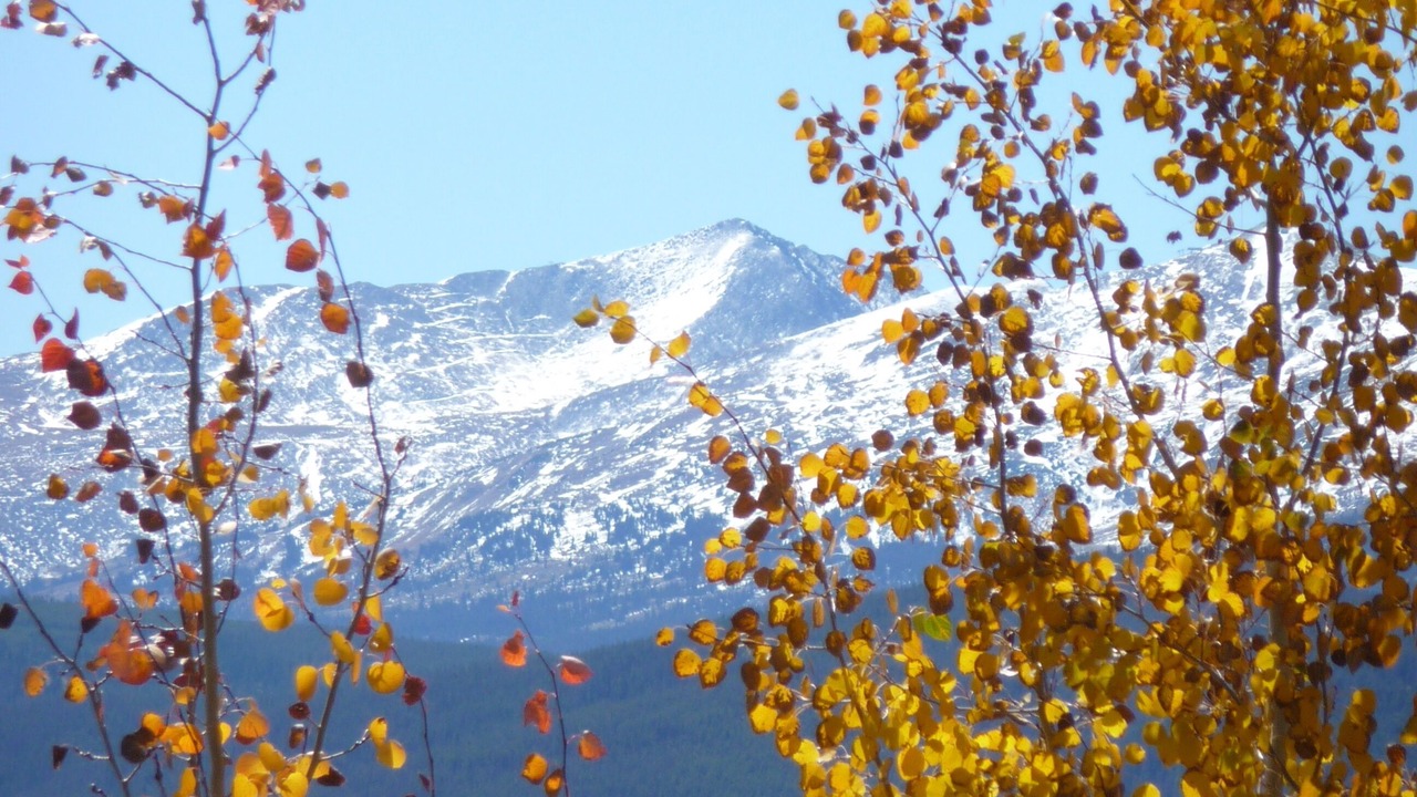 Photo of Outdoor in Dillon