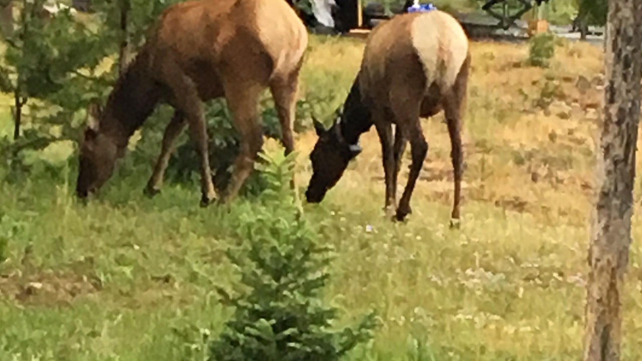 Photo of Others in Silvercreek