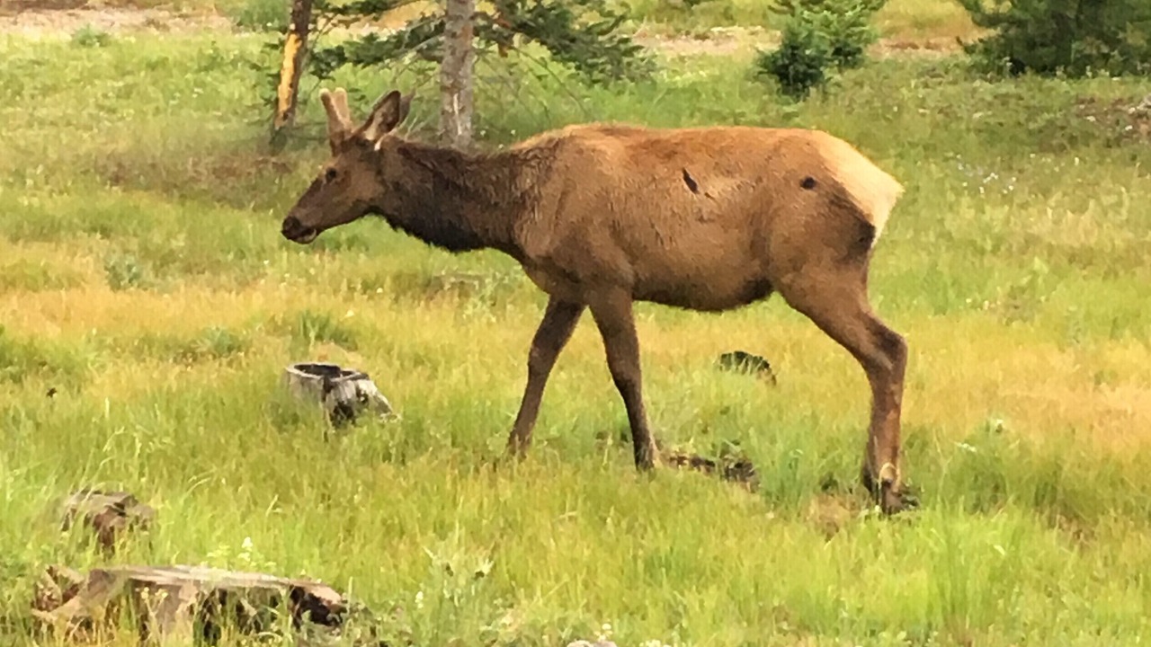 Photo of Others in Silvercreek