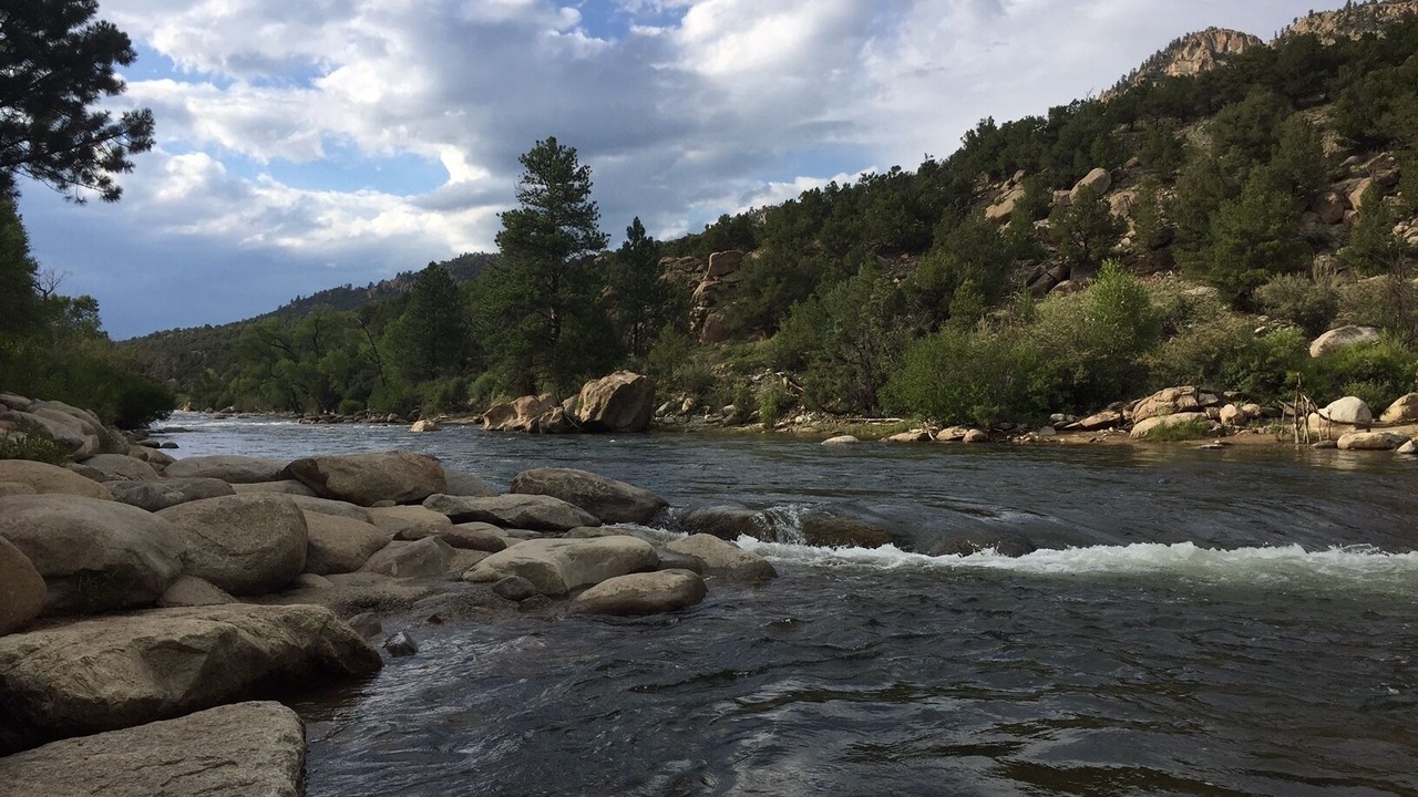 Photo of Others in Buena Vista