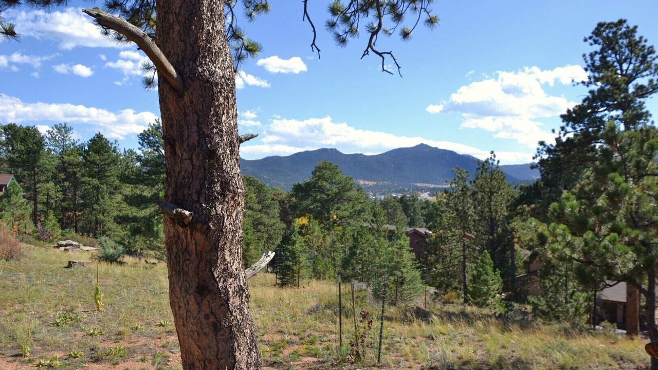 Photo of Outdoor in Stanley Hills