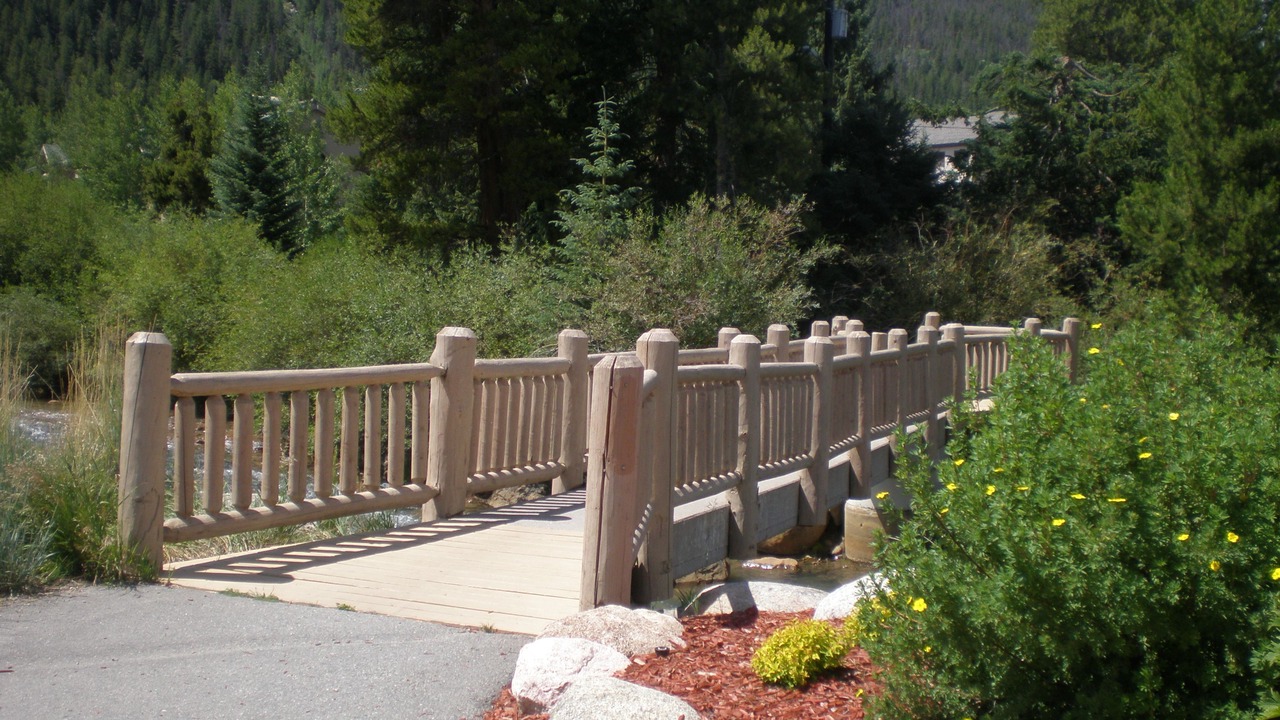 Photo of Others in Mountain House