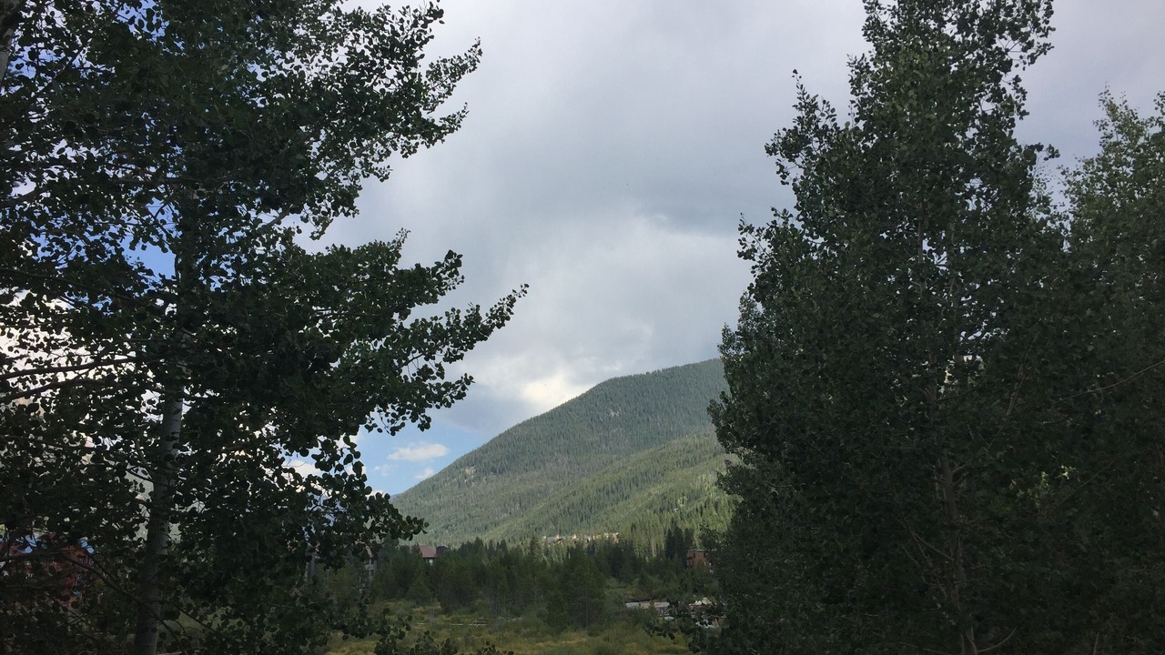 Photo of Others in Mountain House
