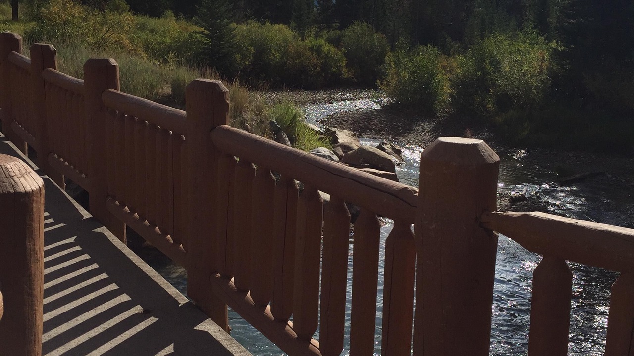 Photo of Outdoor in Mountain House