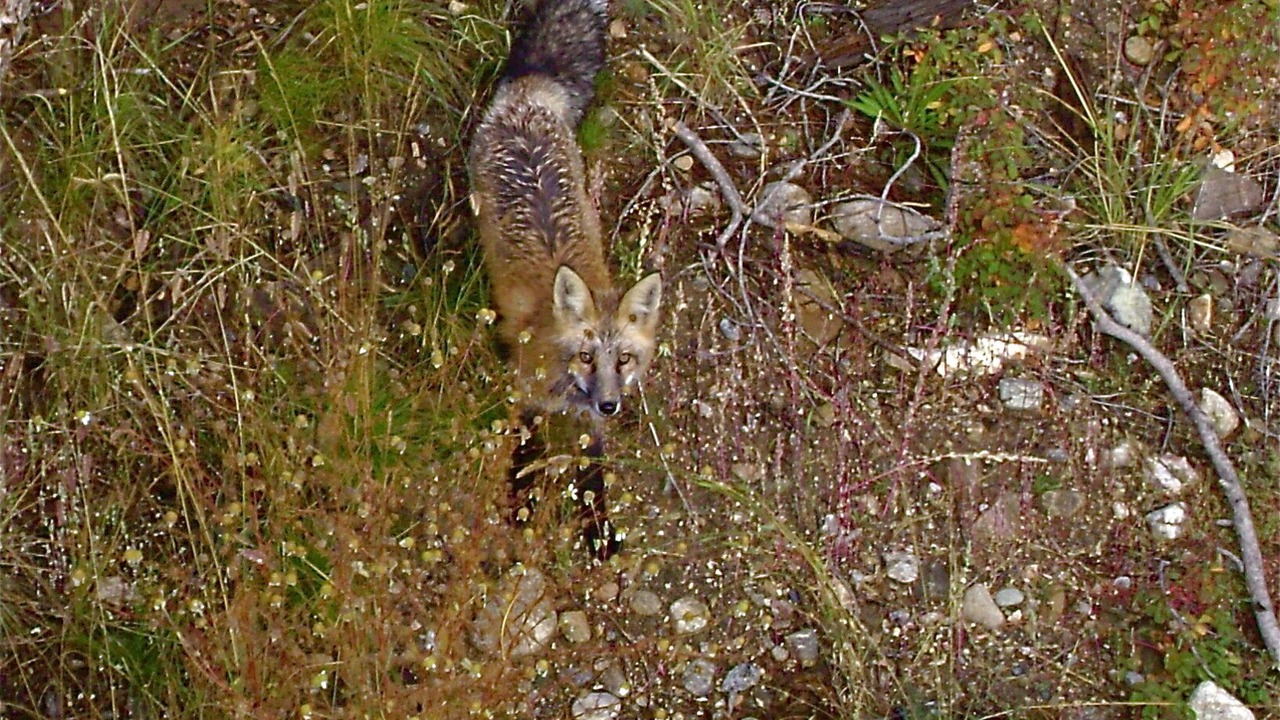 Photo of Others in Dillon