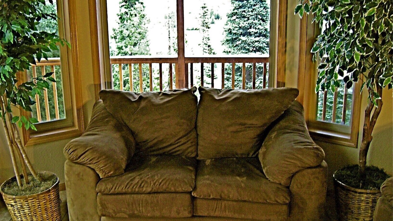 Photo of Livingroom in Dillon