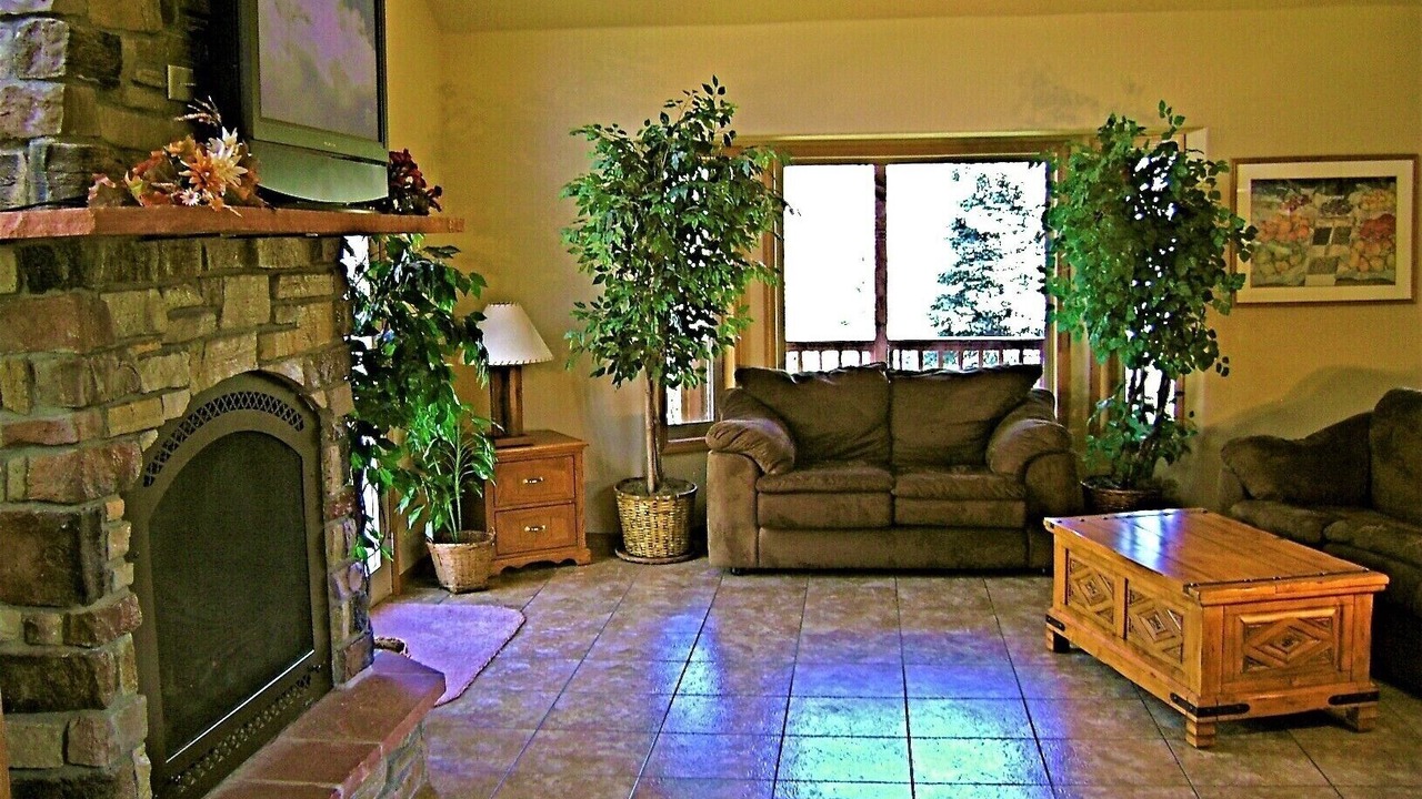 Photo of Livingroom in Dillon