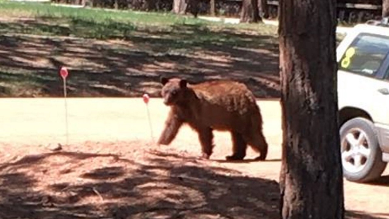Photo of Others in Woodland Park