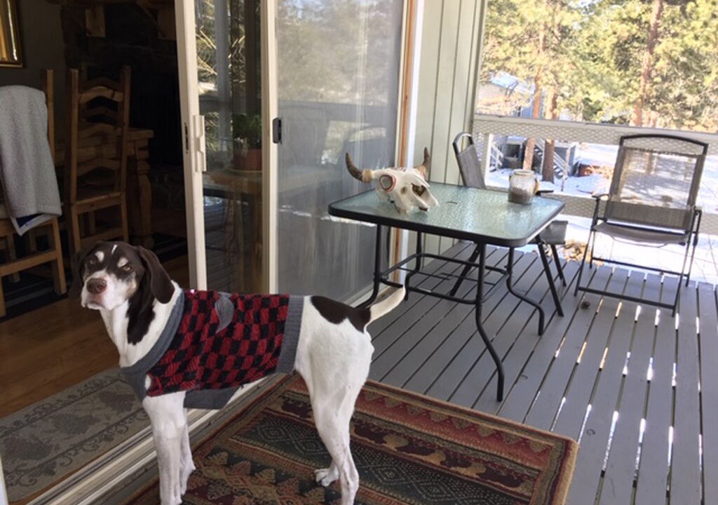 Photo of Patio Balcony in Woodland Park