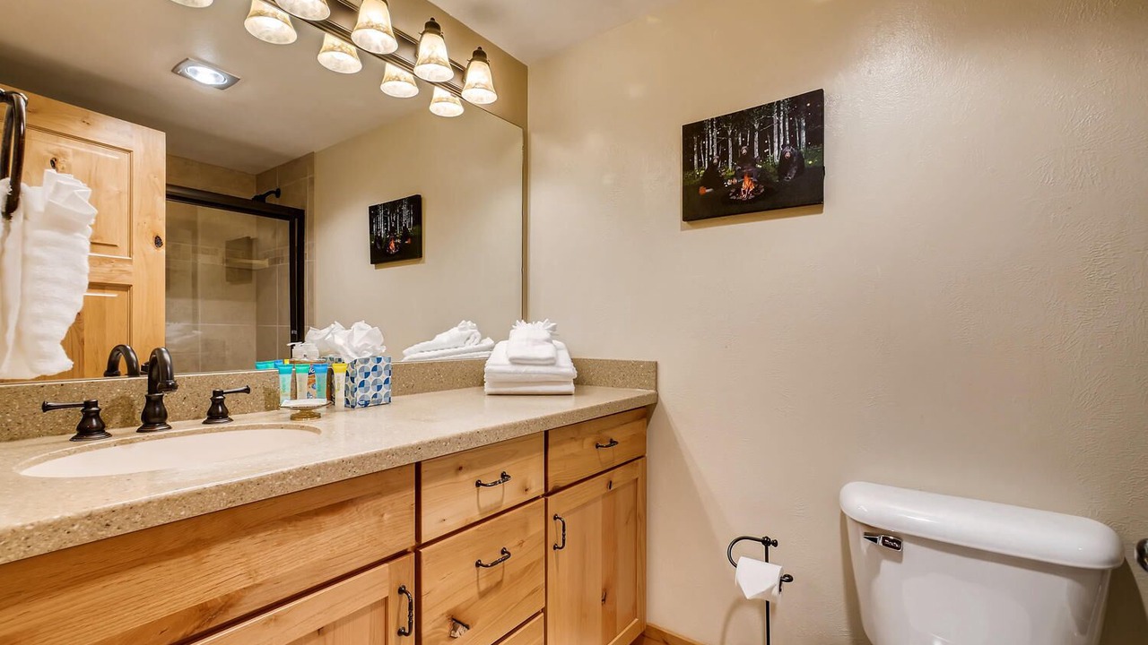 Photo of Bathroom in Steamboat Springs
