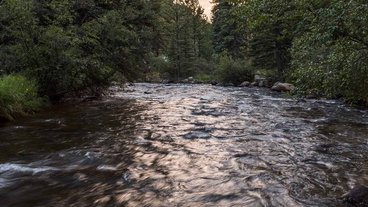 Photo of Others in Aspen Brook