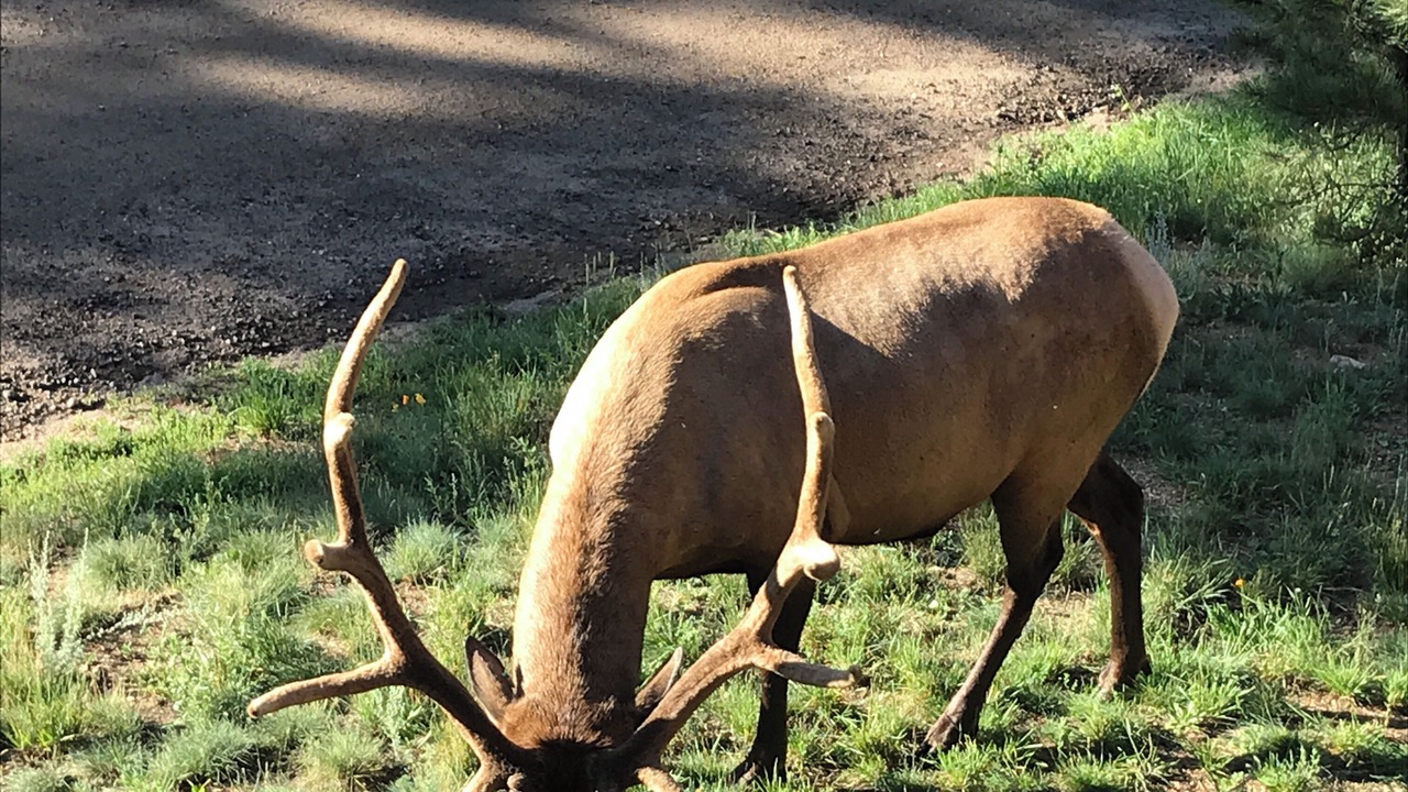 Photo of Others in Aspen Brook