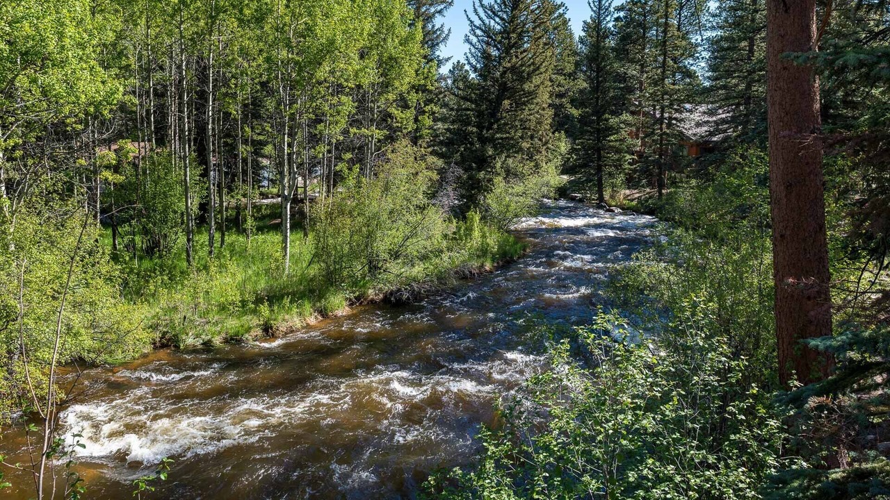 Photo of Others in Aspen Brook