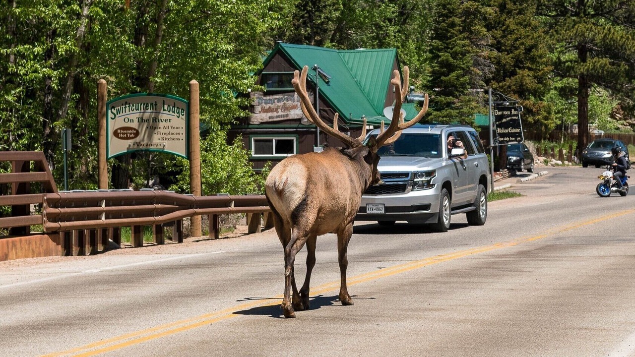 Photo of Others in Aspen Brook
