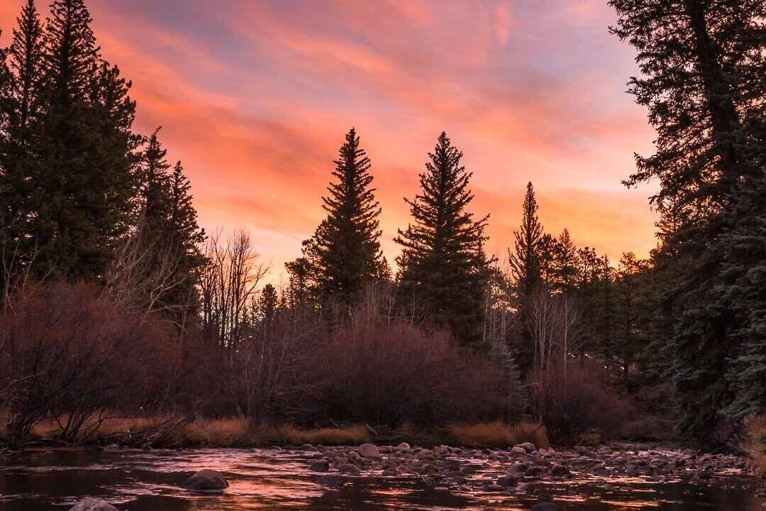Photo of Others in Aspen Brook