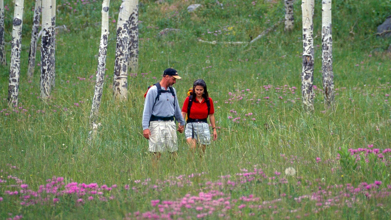 Photo of Outdoor in Aspen Brook