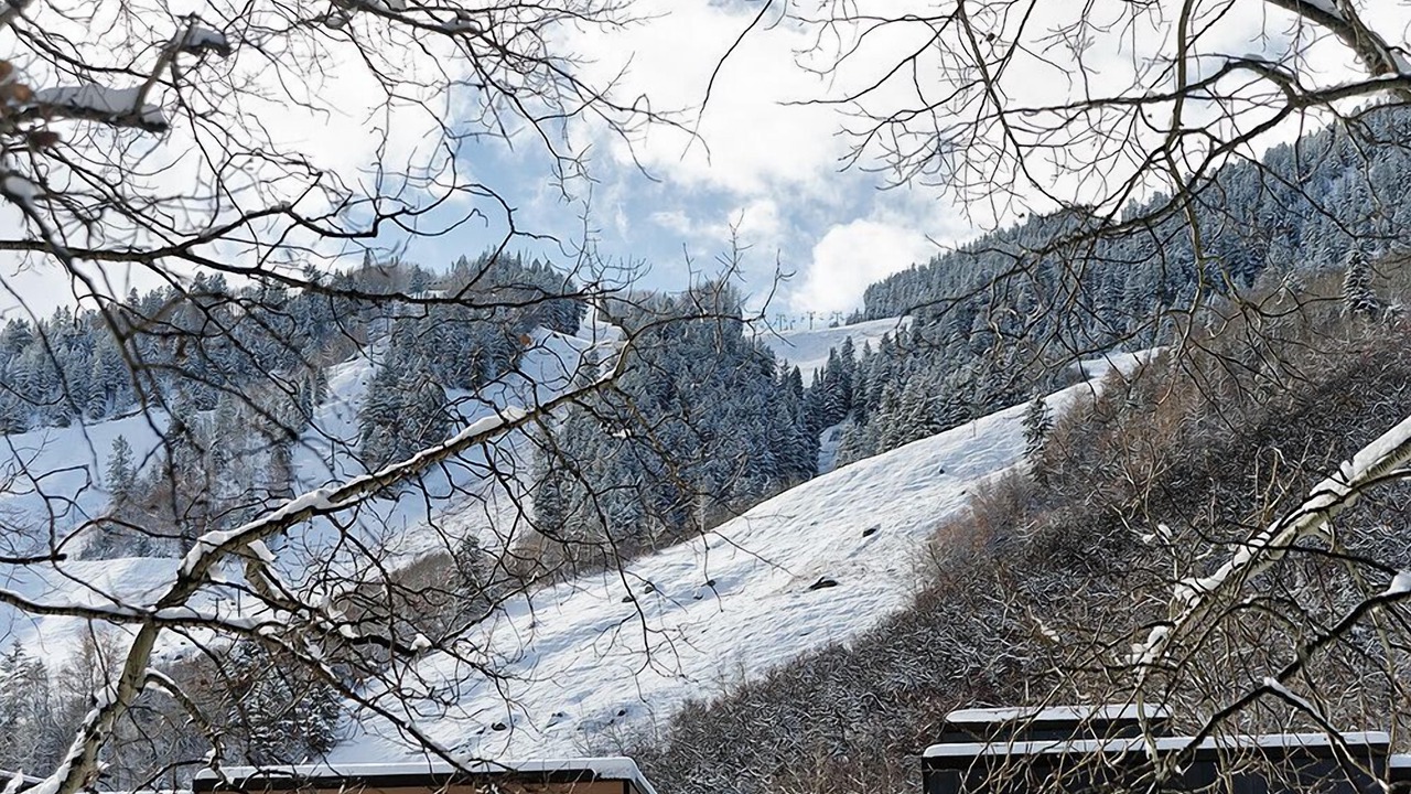 Photo of Others in Aspen
