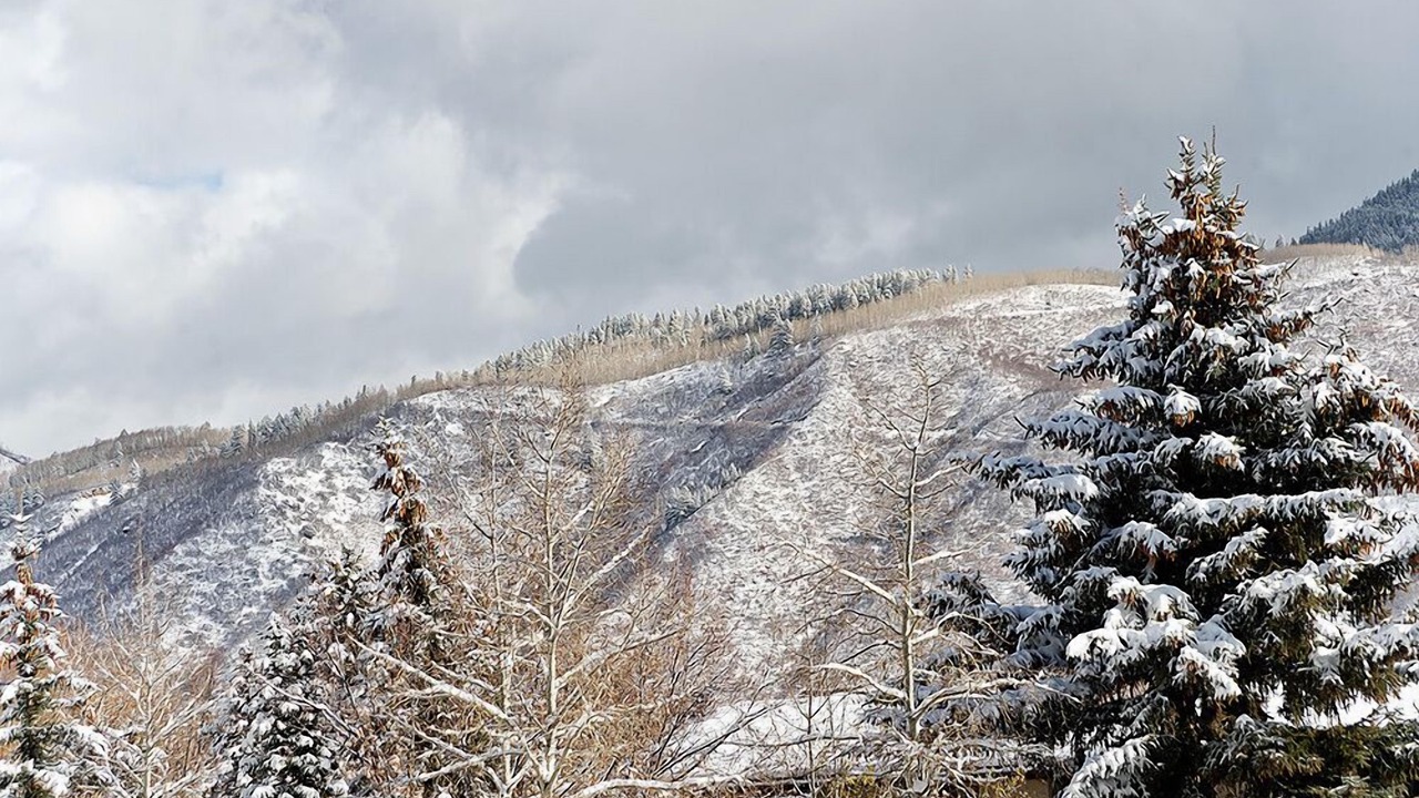 Photo of Others in Aspen