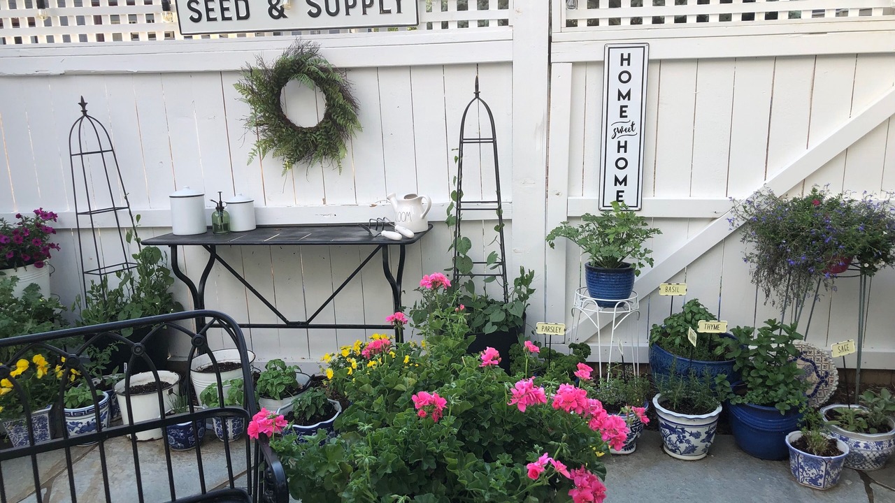 Photo of Outdoor in Longmont