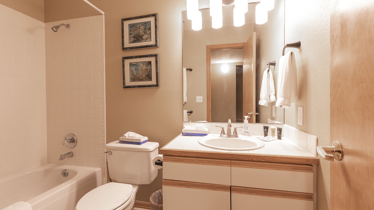 Photo of Bathroom in Frisco