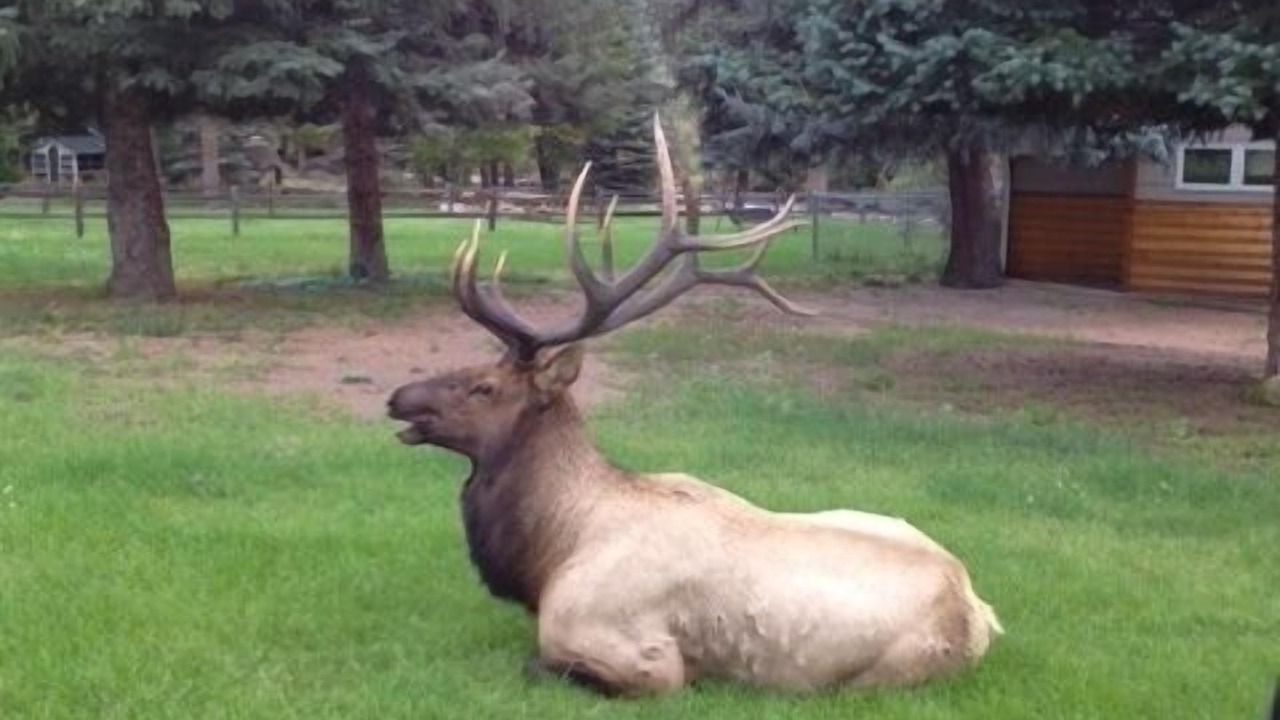 Photo of Others in Estes Park