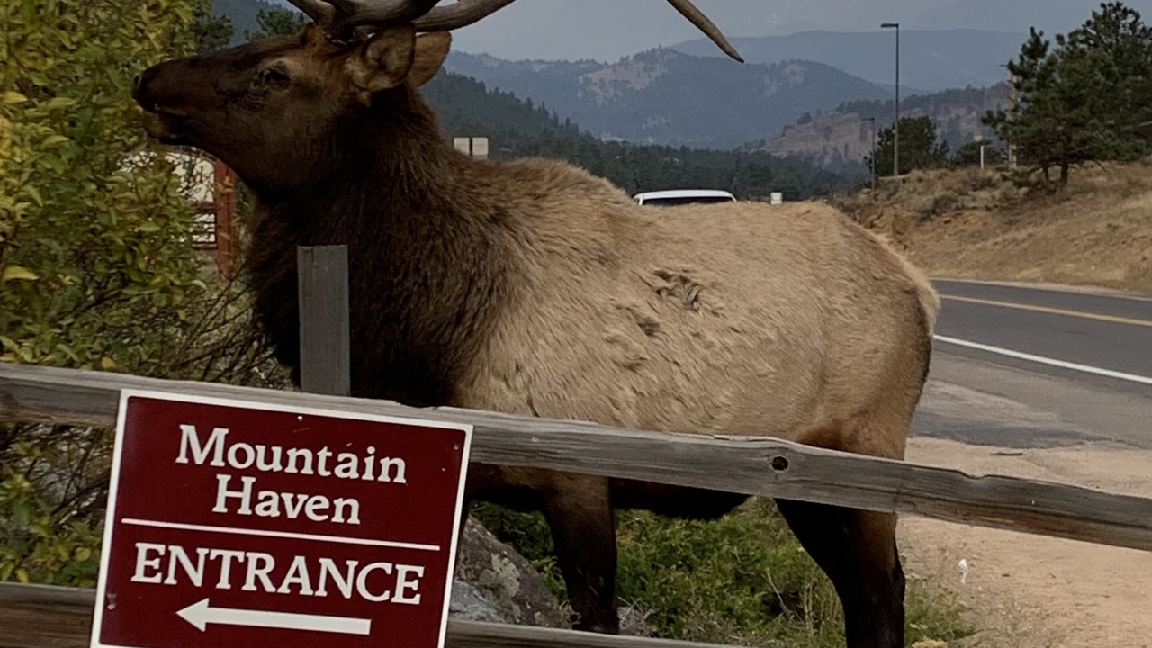 Photo of Outdoor in Estes Park
