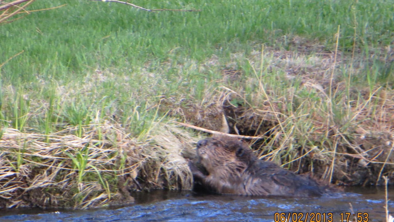 Photo of Others in Estes Park