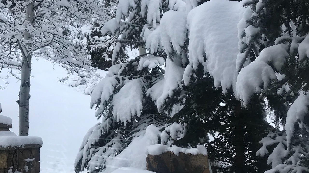 Photo of Others in Edwards