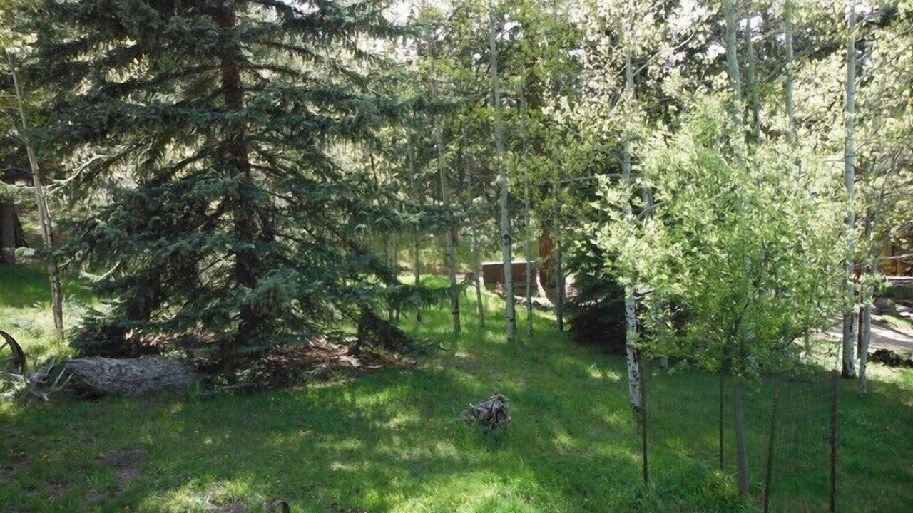 Photo of Others in Little Valley