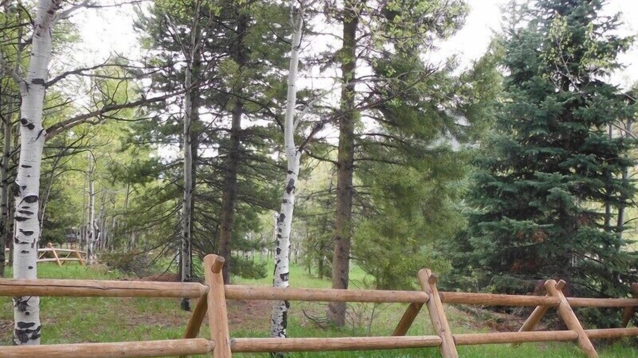 Photo of Outdoor in Little Valley
