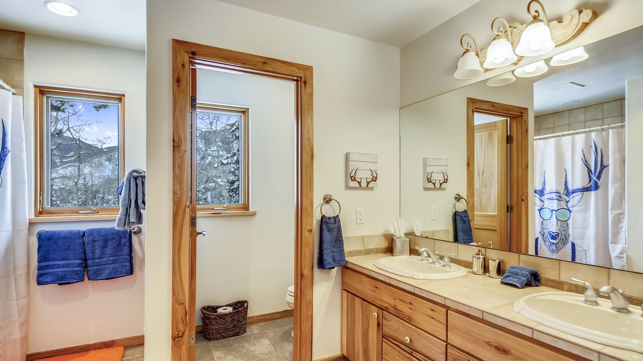 Photo of Bathroom in Purgatory