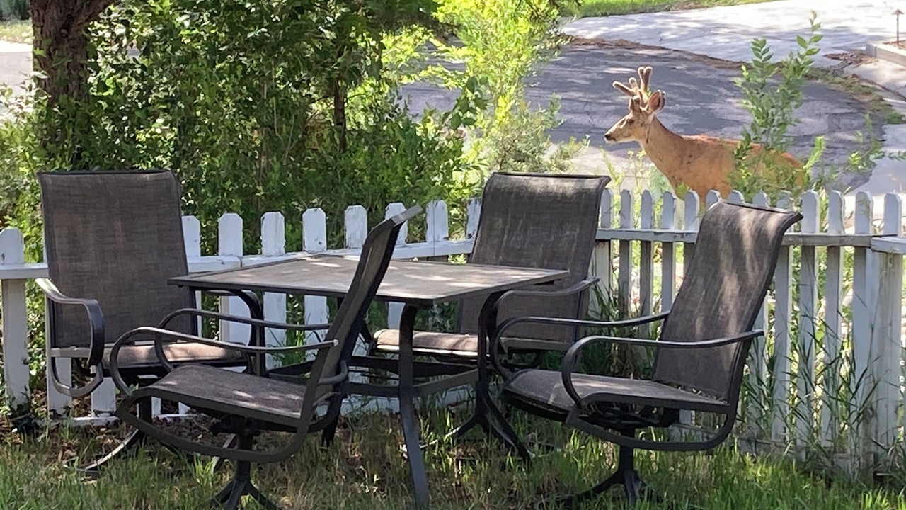 Photo of Outdoor in Village Seven