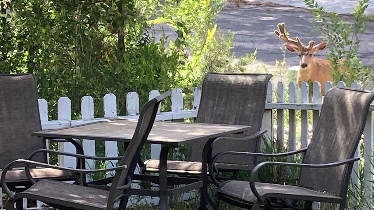 Photo of Outdoor in Village Seven
