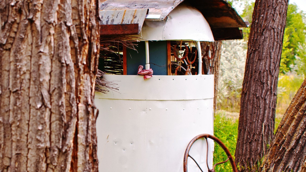 Photo of Outdoor in Paonia