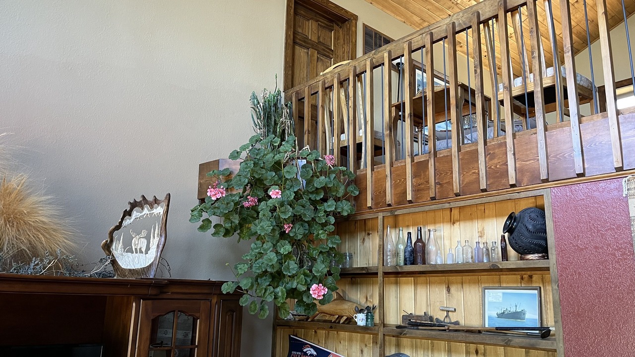 Photo of Others in Pagosa Springs