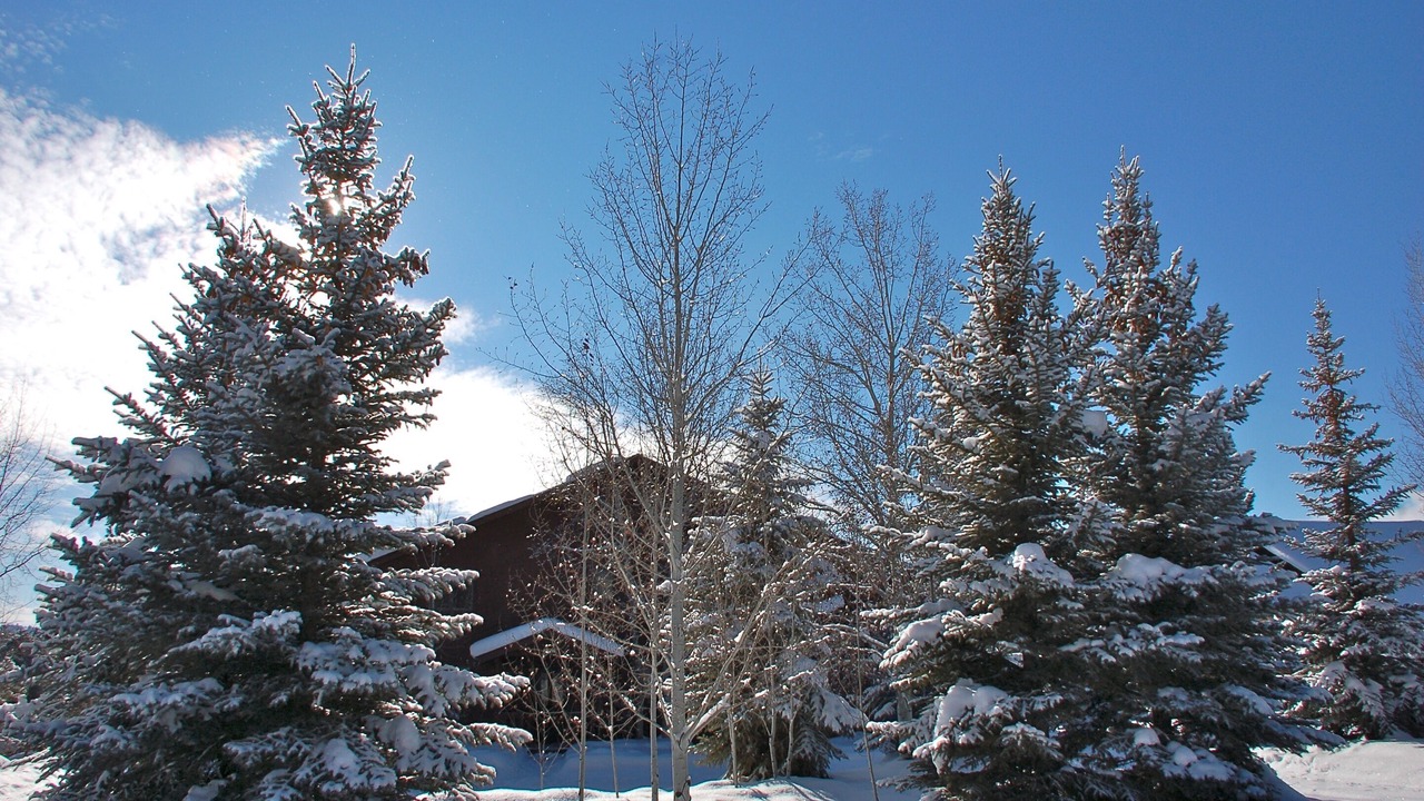 Photo of Others in Pagosa Springs