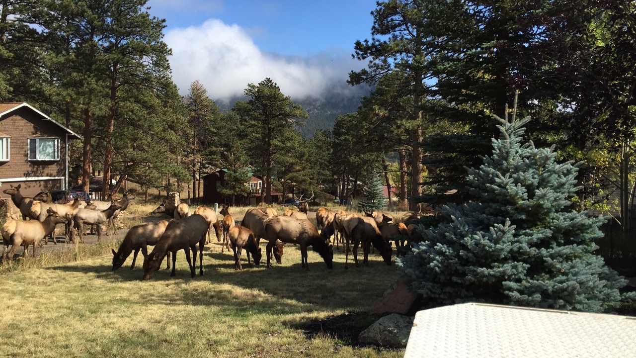 Photo of Outdoor in Estes Park