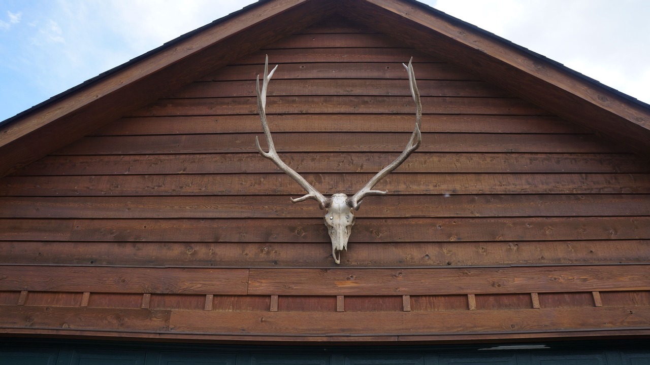 Photo of Outdoor in Estes Park