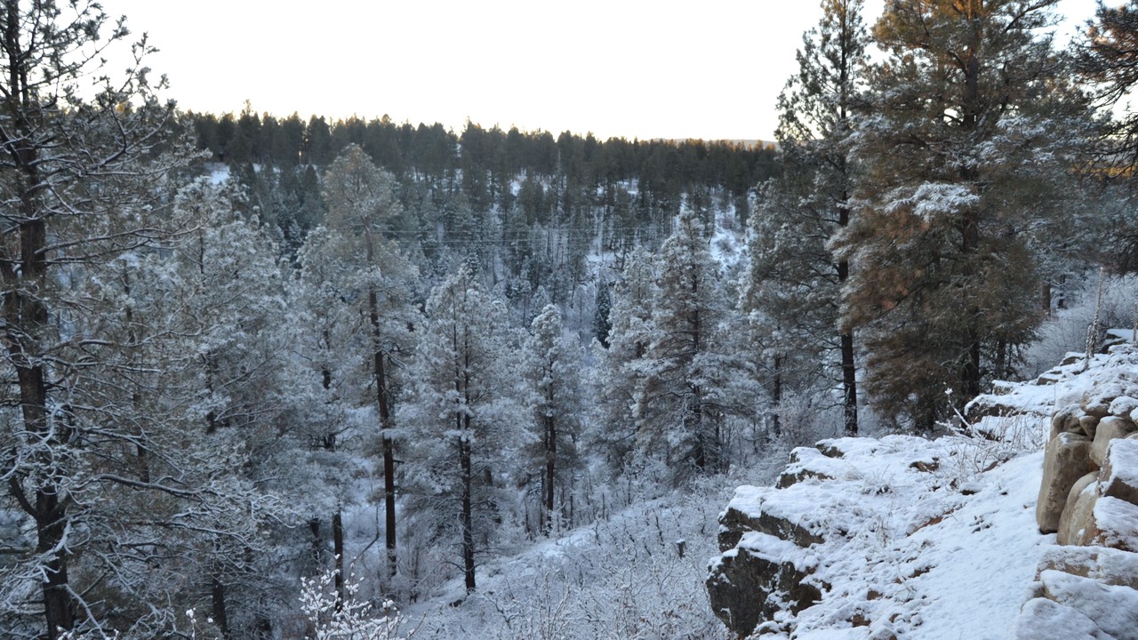 Photo of Others in Pagosa Springs